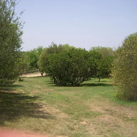 Jaddhu Country 3*