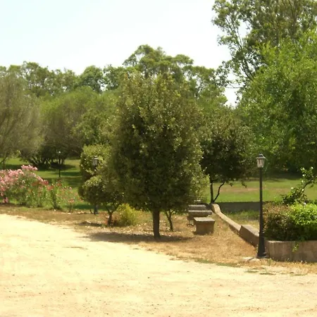 Jaddhu Country 3*