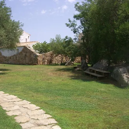 Jaddhu Country