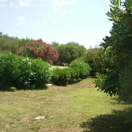 Jaddhu Country Arzachena