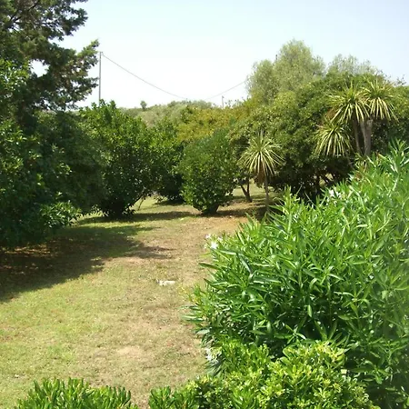 Hotel Jaddhu Country 3*